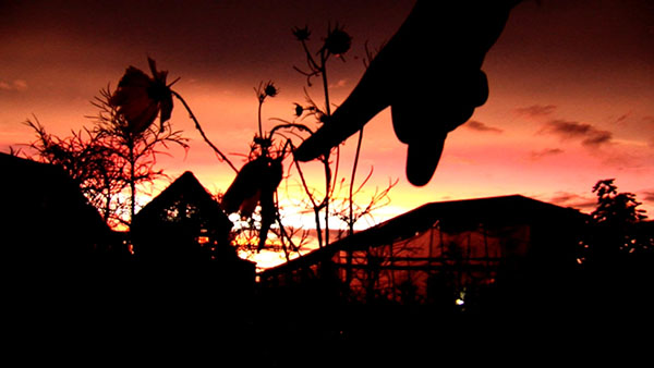 d_chokoretokekitohouryuji